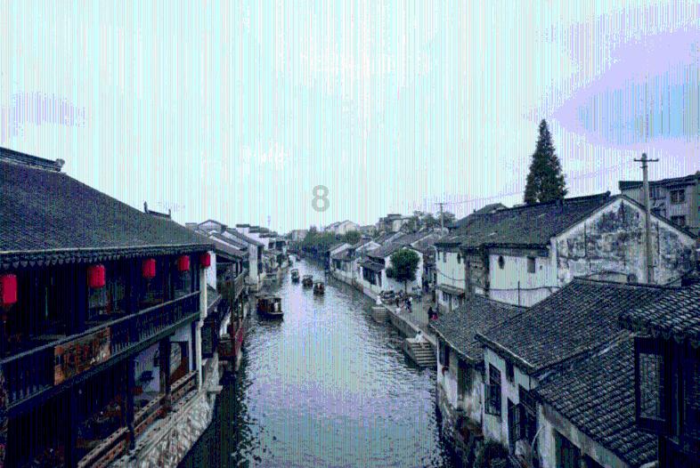 寻找火鸡